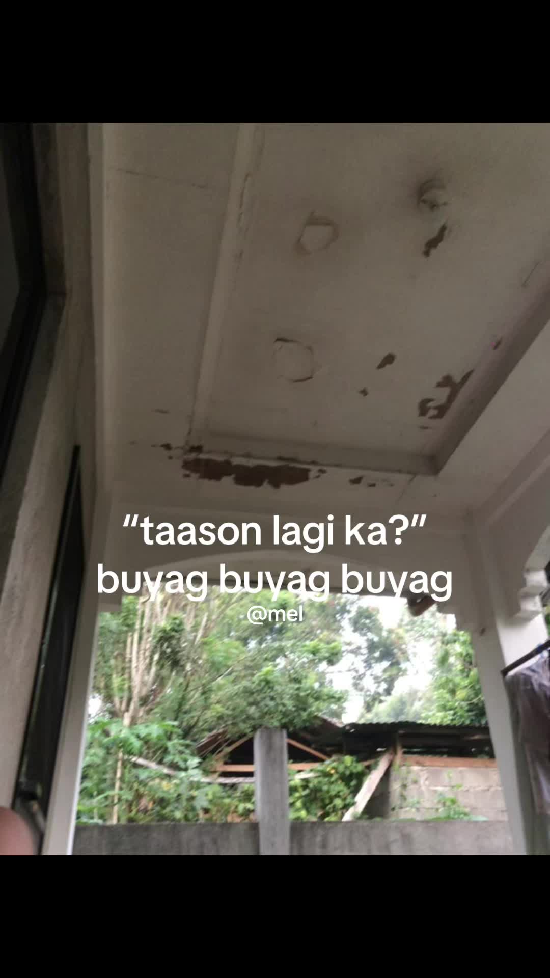 @leomel💤