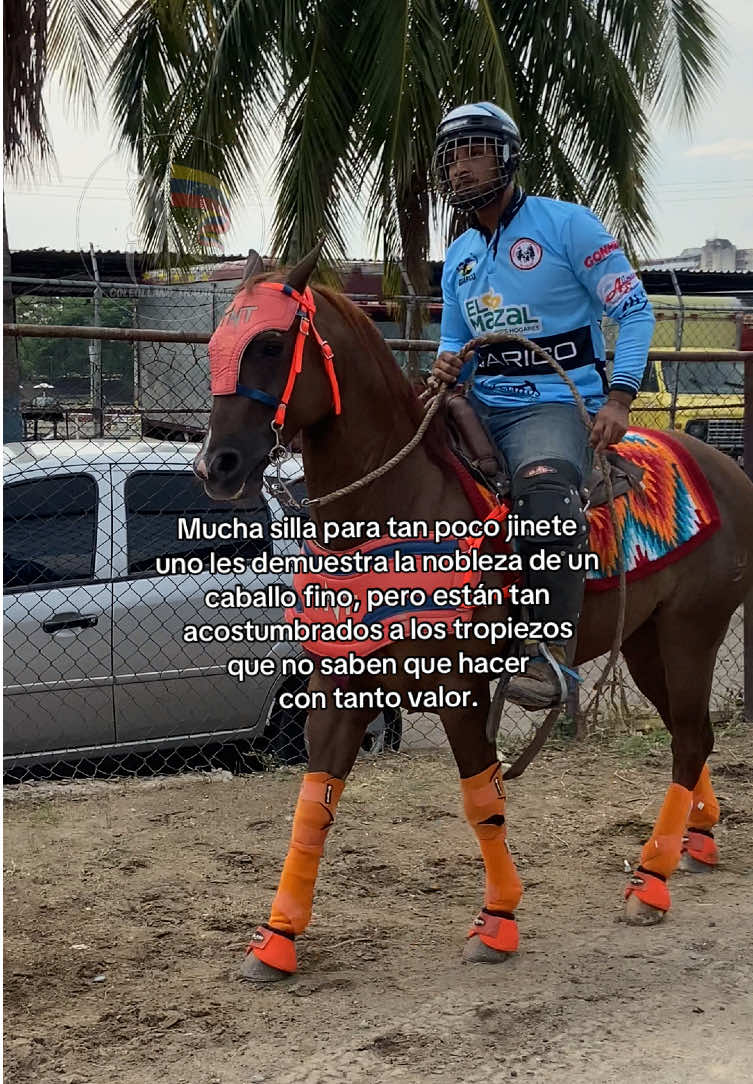 @@Coleollano_tradicion