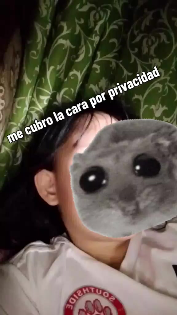 @𝙮𝙪𝙧𝙞//🪽