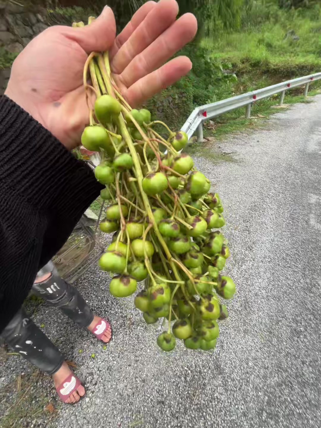 @L&Iacute;U  🇻🇳☣️