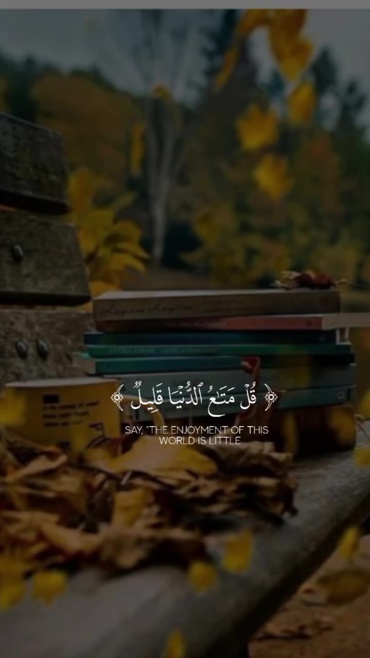 @مــــــــــــــــــــاریه