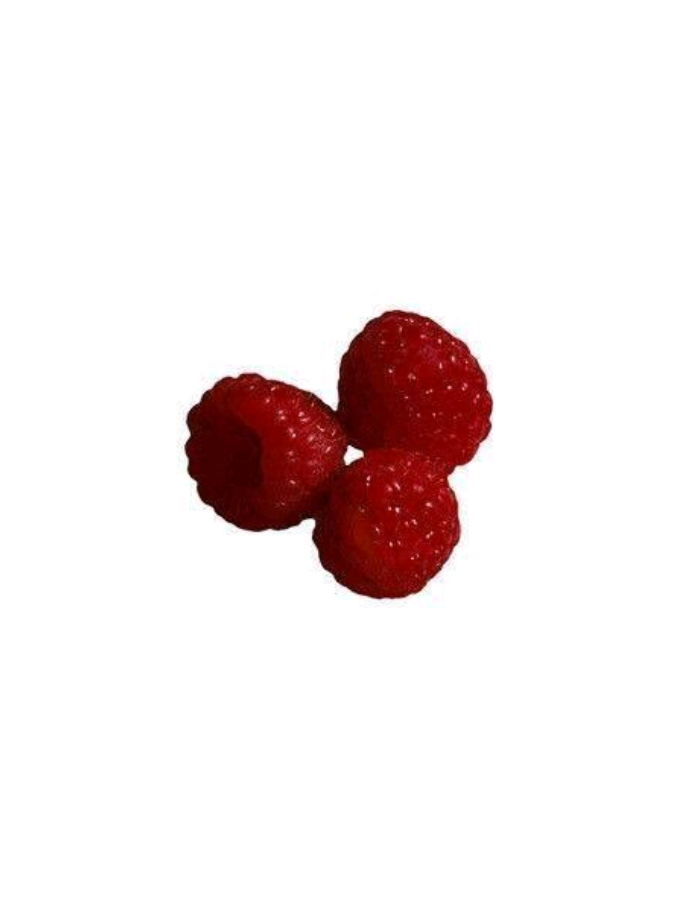 @꒰꒰ ֪ 𝑨le 𖹭 J𝗲︩︪nnie ݃ ︵ ঌঌ