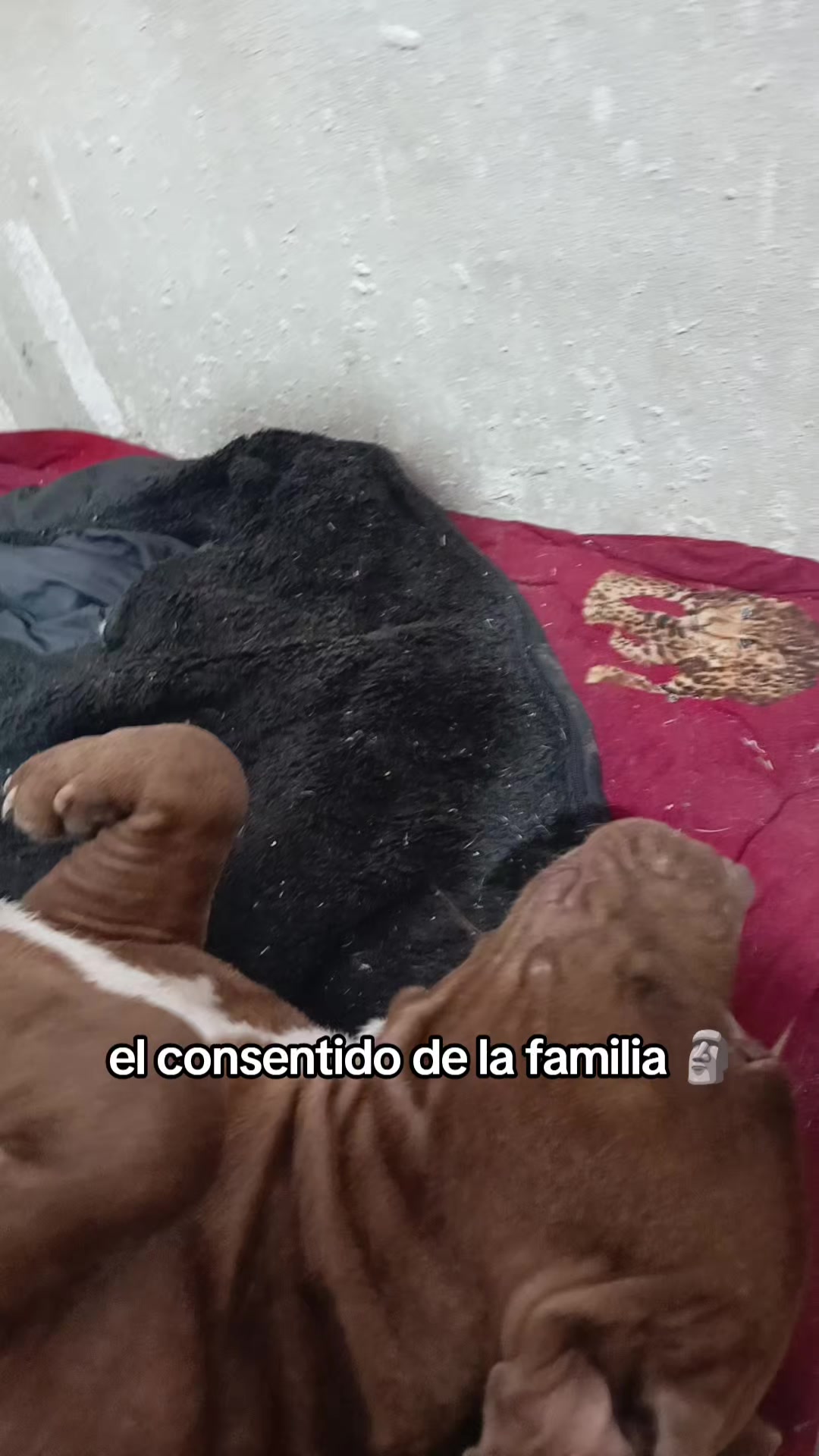 @cri
