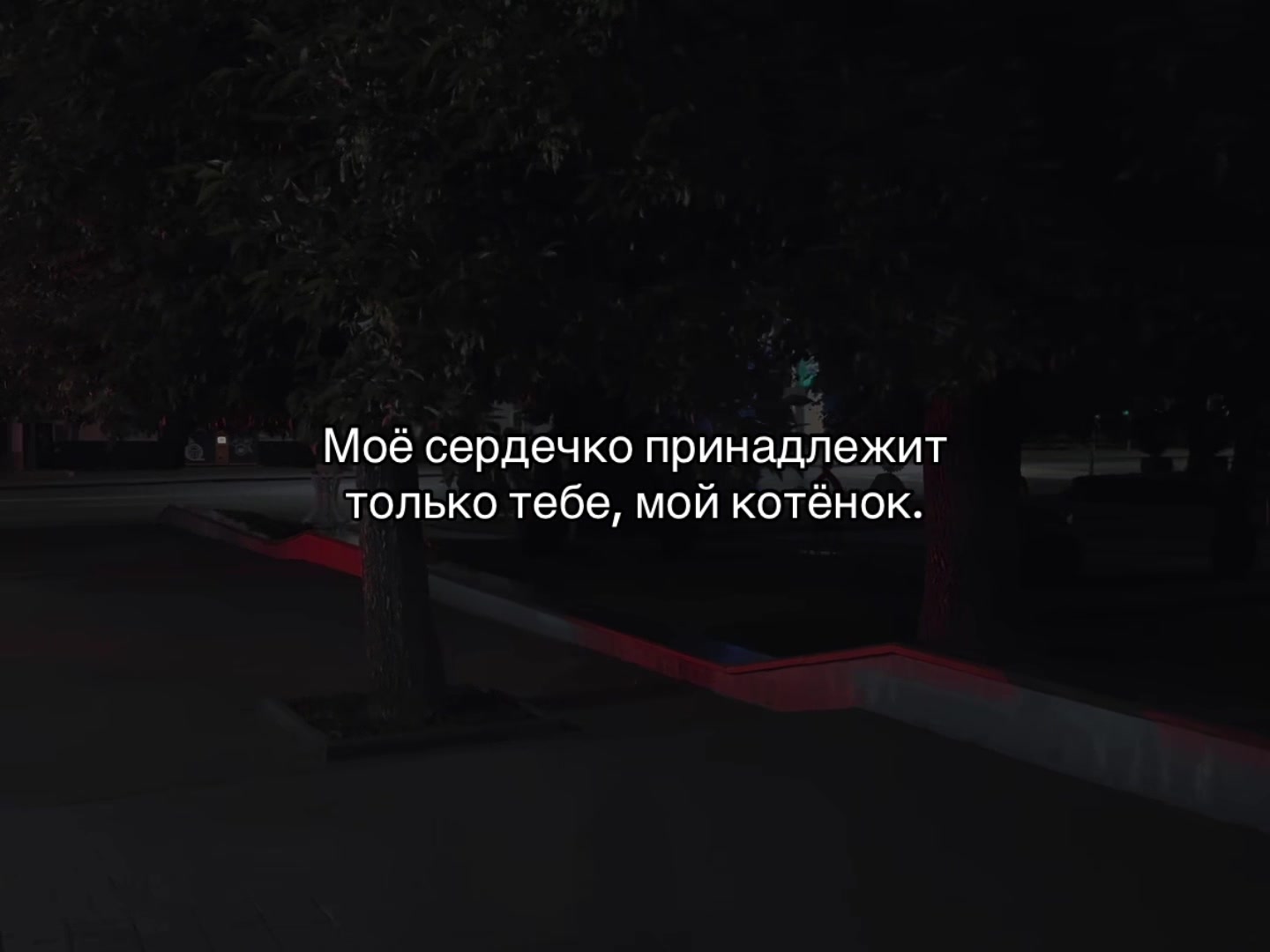 @ᴍᴜsɪᴄ ɪs ᴍʏ ʟɪꜰᴇ