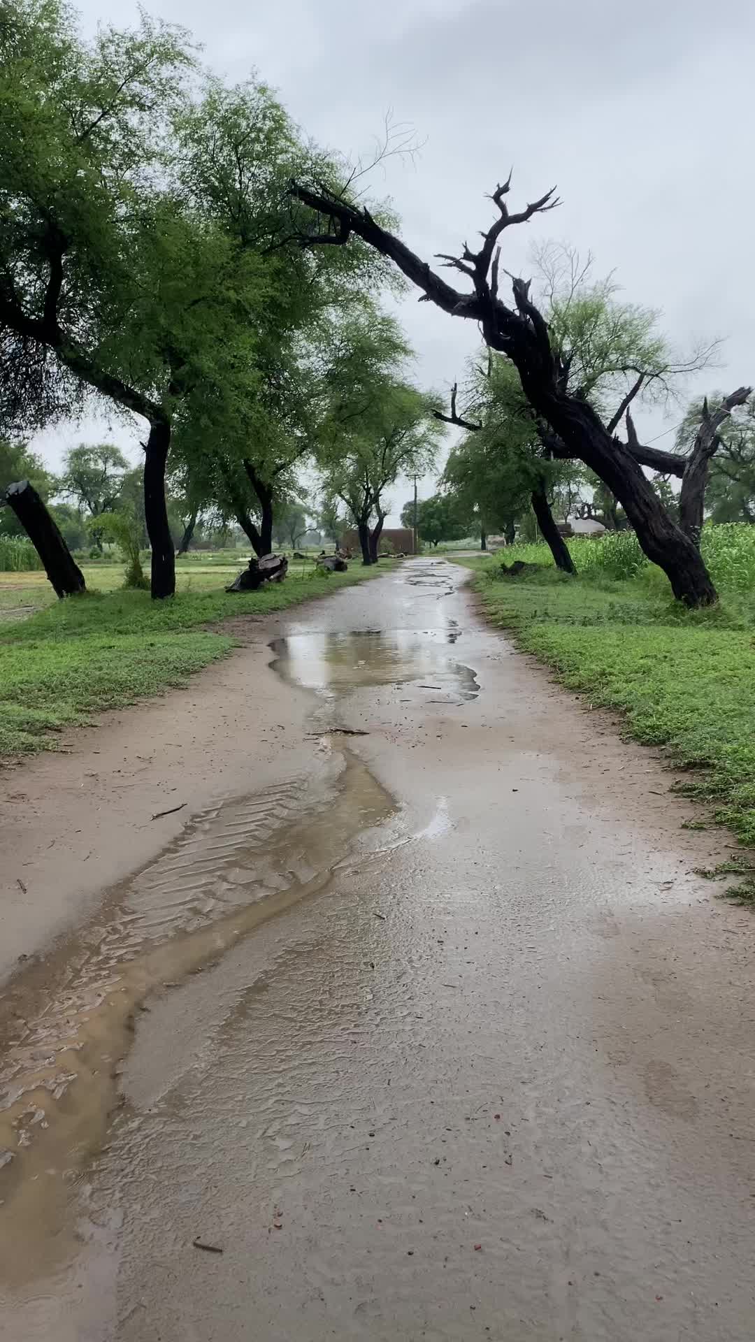 @ساڈاپنجاب🌾