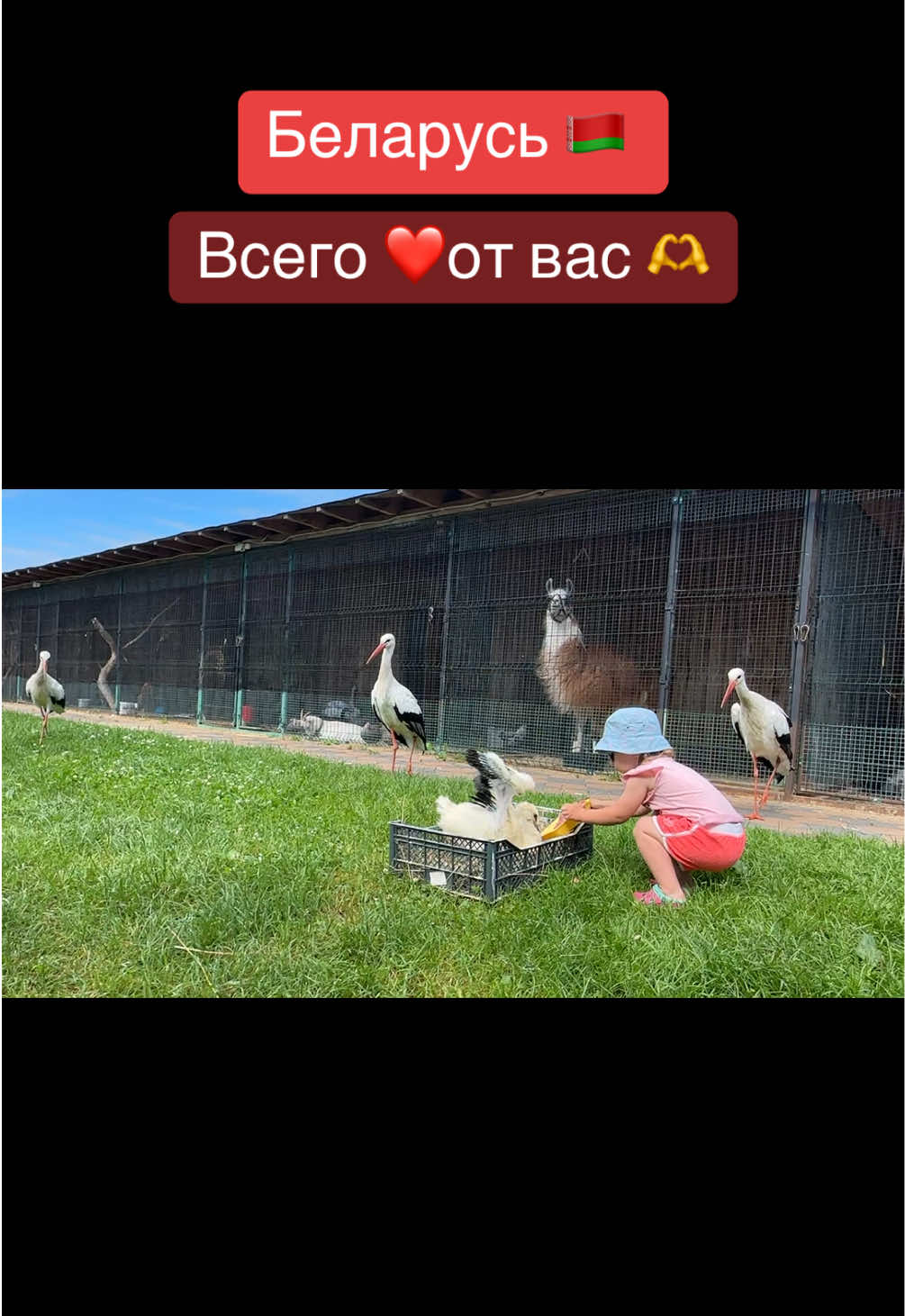 @Анастасия Чернявская.