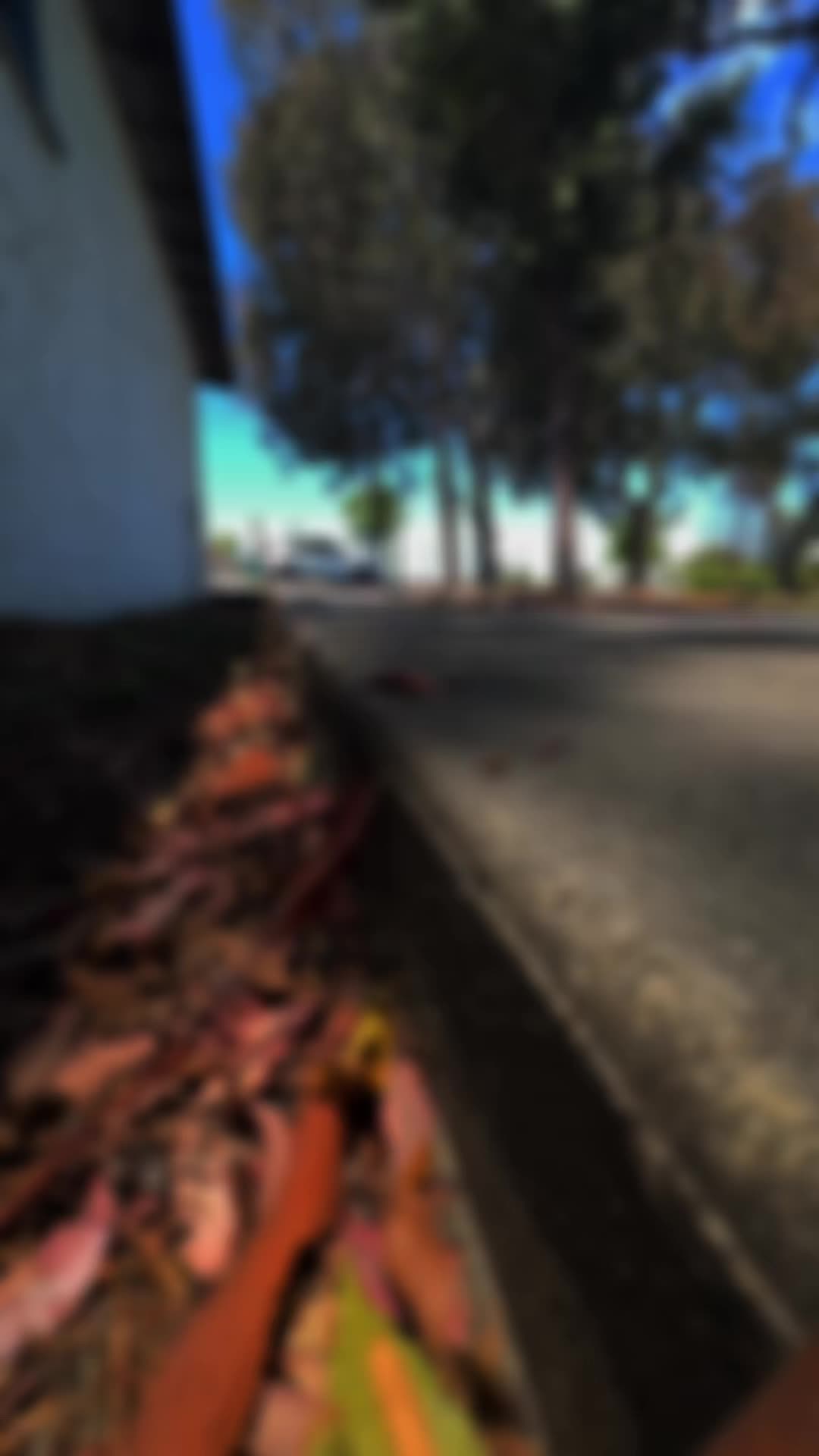 @costco_rocks_rc