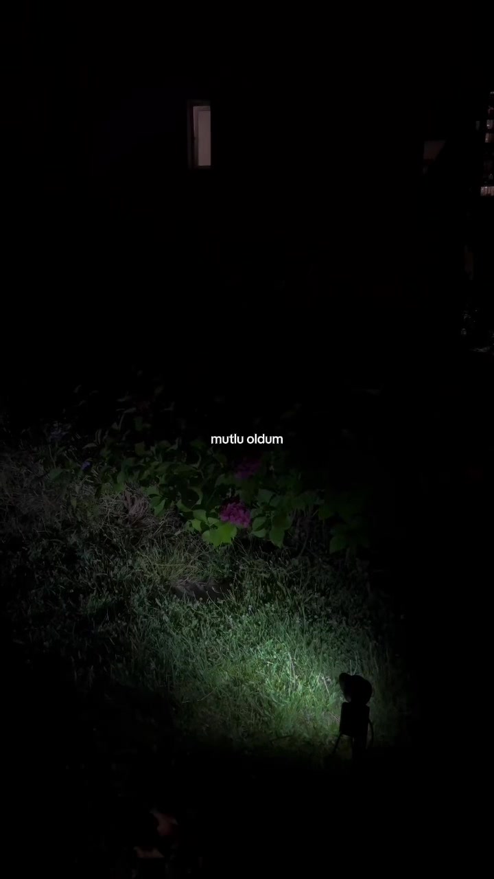 @𝓢