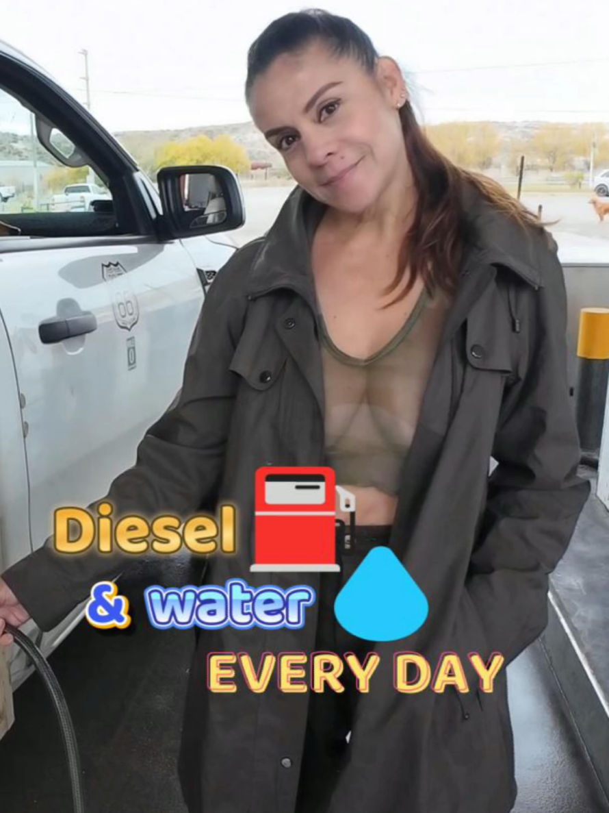 @Ford Lady