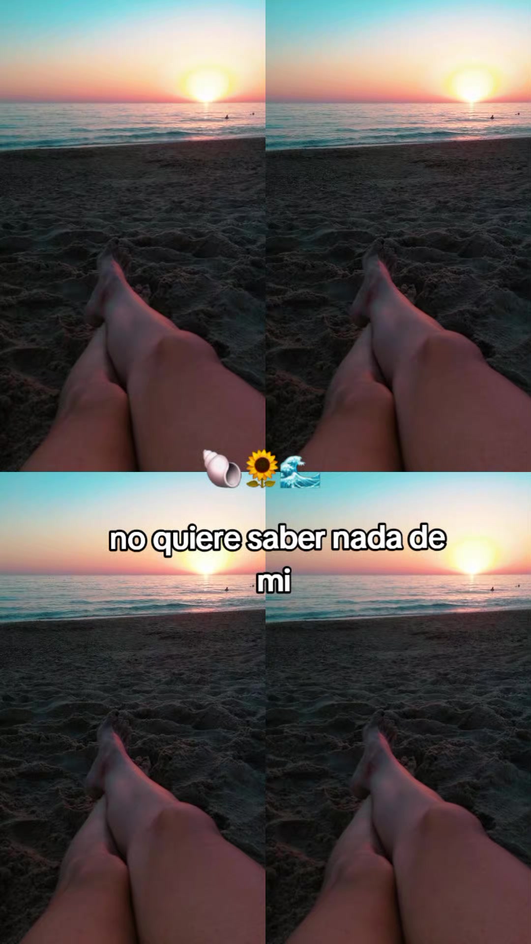 @✨🦋...