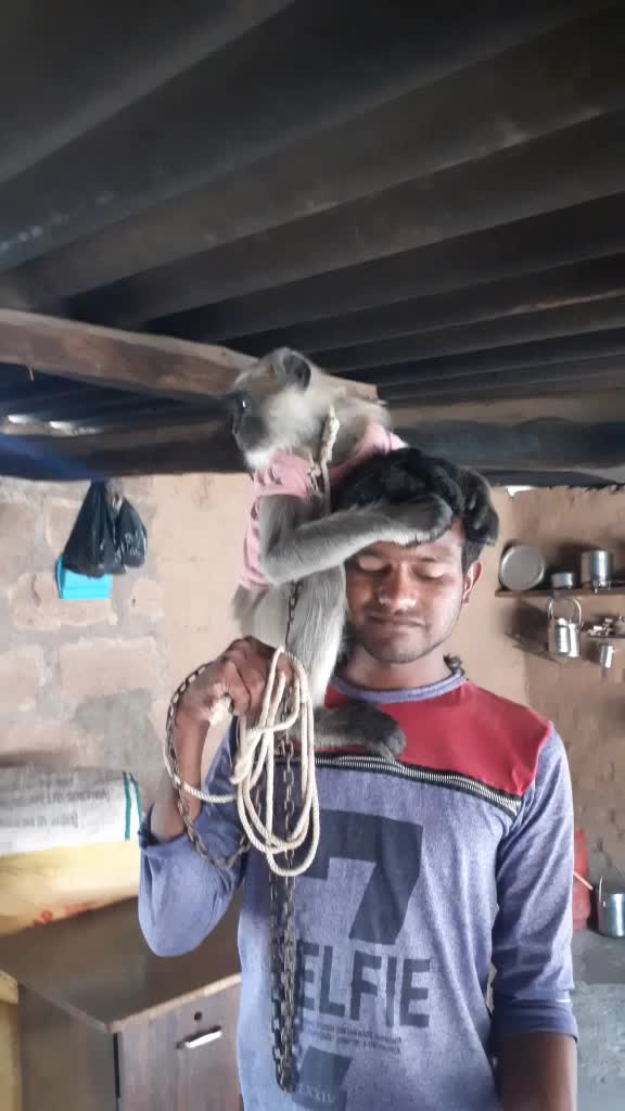 @akshay Dharani