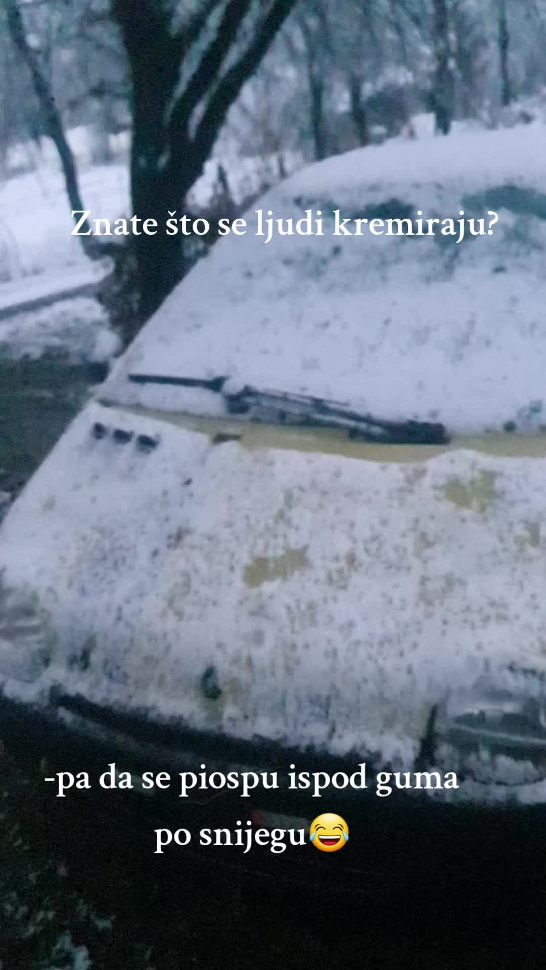 @Žuta Tica💛