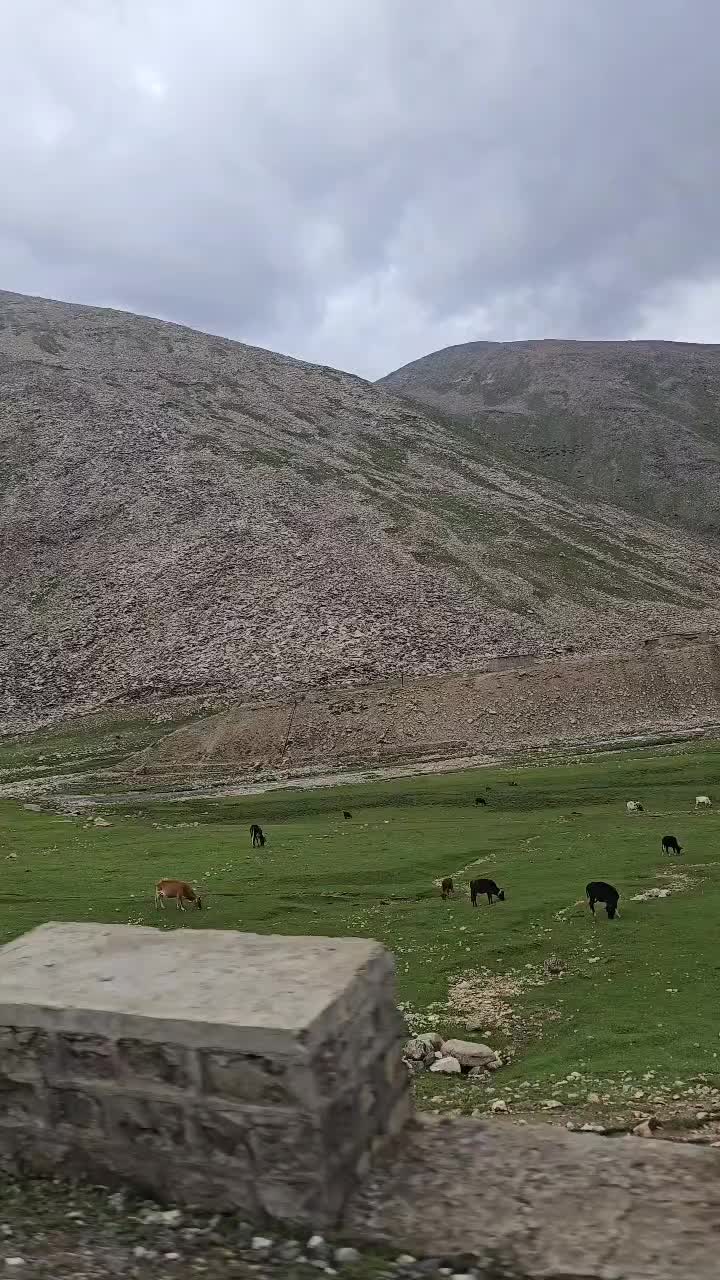 @RabailRiaz