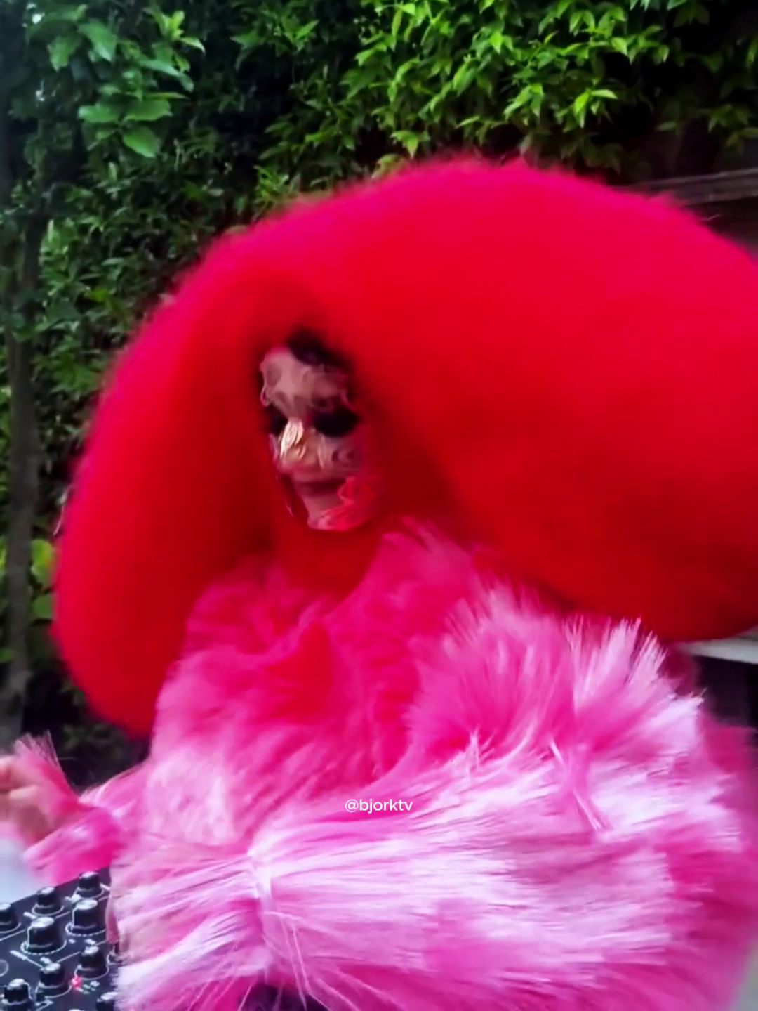 @björk