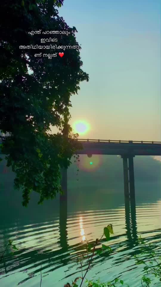 @AsarU_TnL