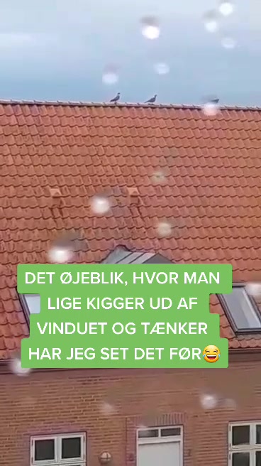 @KTTJDESIGN
