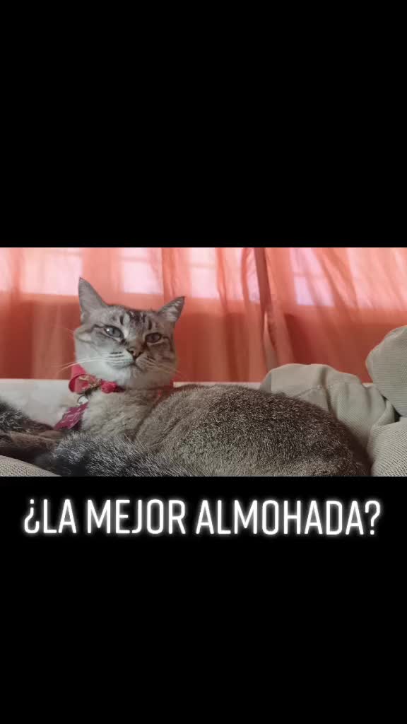 @hombre.caramelo
