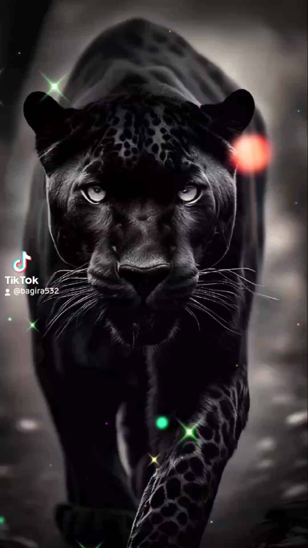 @bagira532