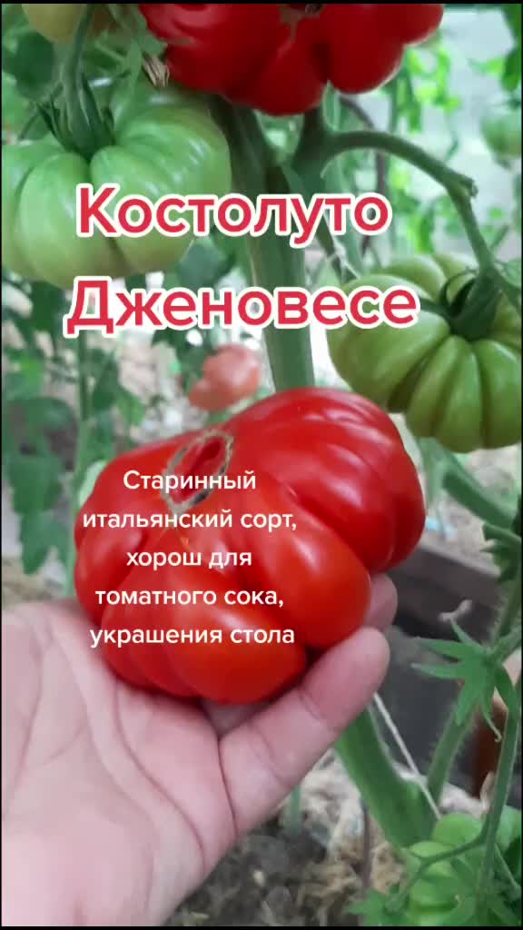 @Дача мечты