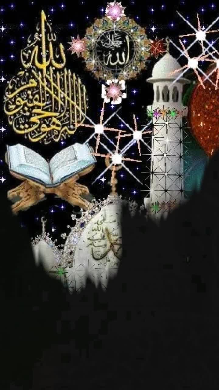 @skatif1137