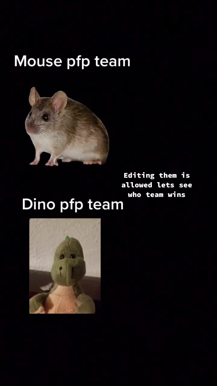 @Mouse