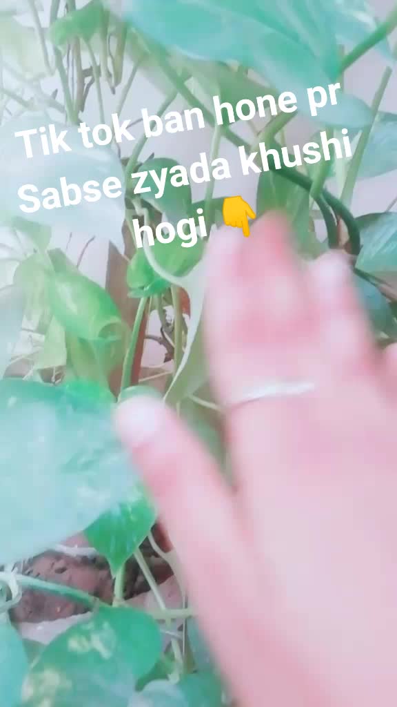 @😘 Marathan mulgi 😘
