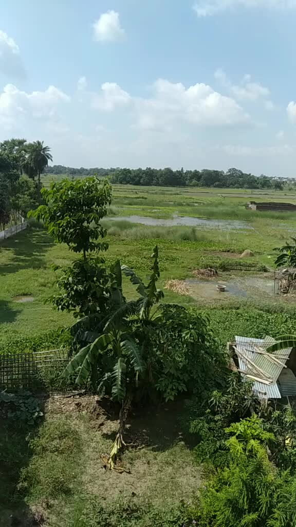 @Abhishek Kr. Sharma