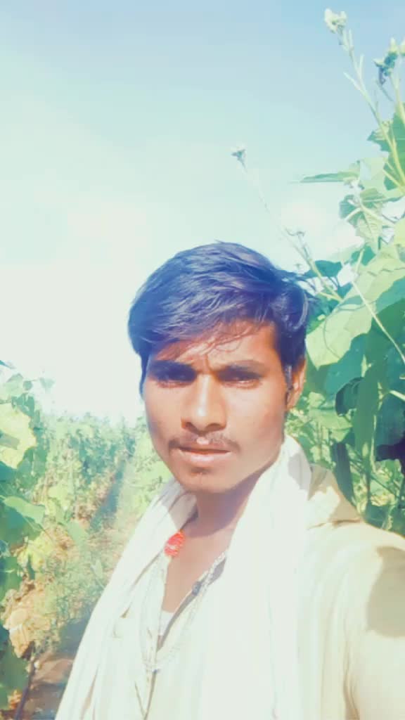 @user586340