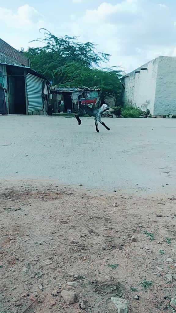 @B.S.Nayak