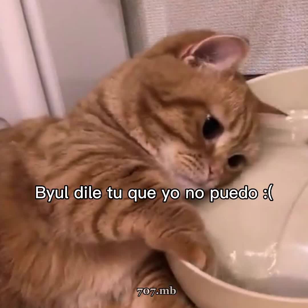 @🐹707🐹