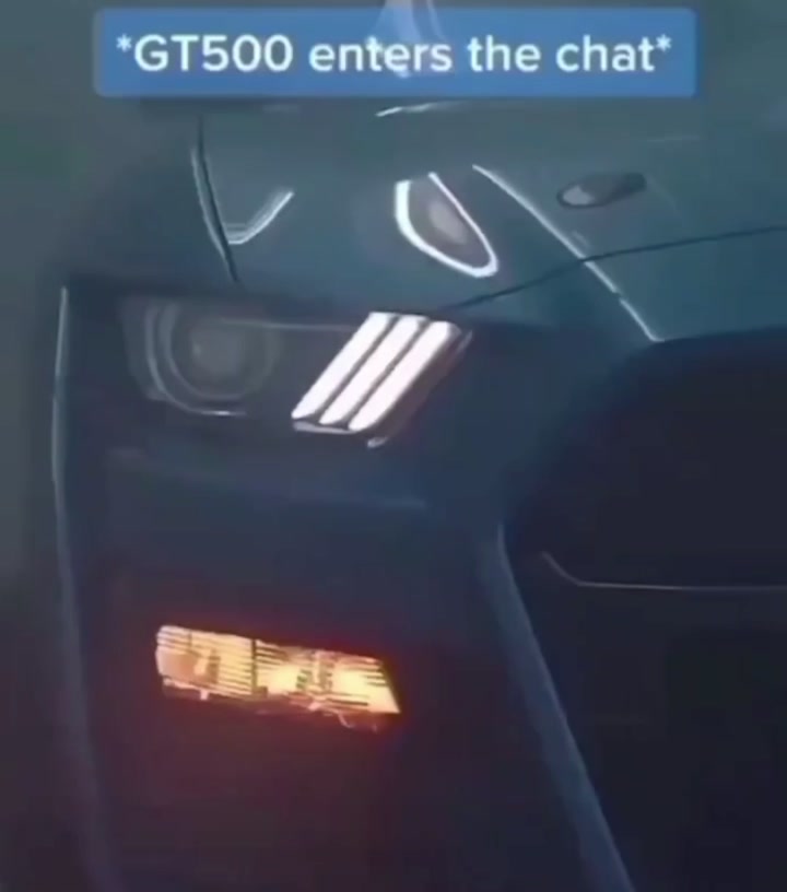 @Dailywhips