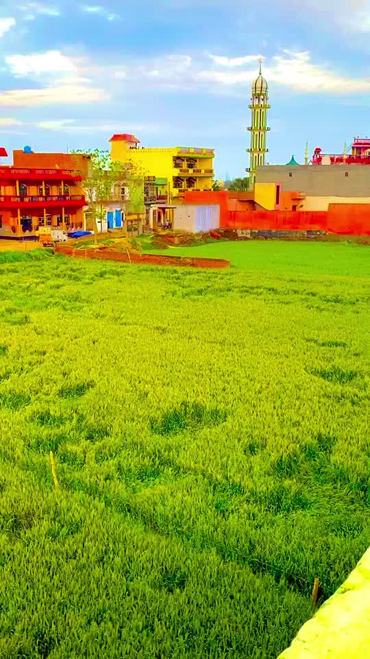 @Savej Choudhary Pavi