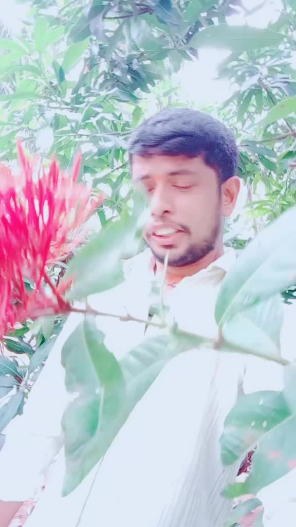 @saisanthosh143225🌷