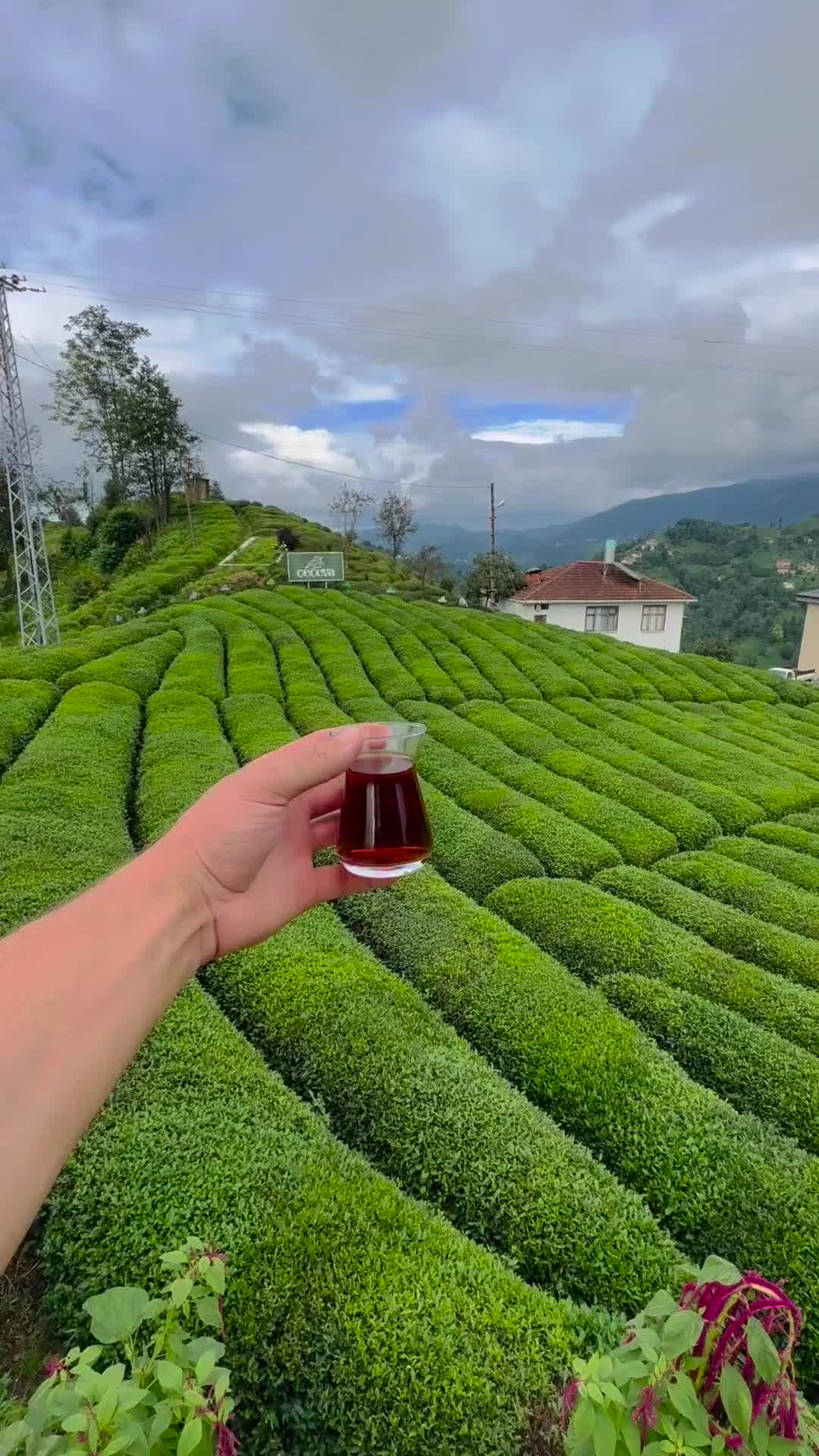 @𝙆𝙖𝙧𝙙𝙚𝙣𝙞𝙯𝙏𝙪𝙧𝙞𝙯𝙢