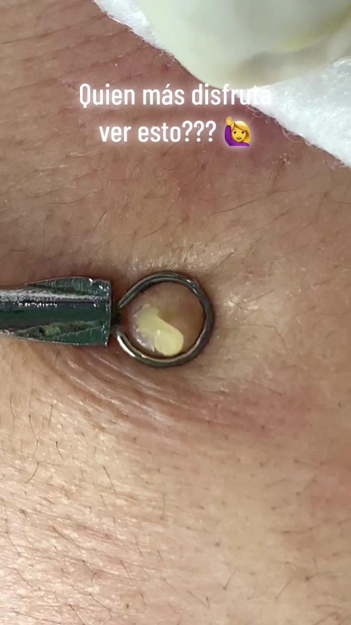 @kamelialosada