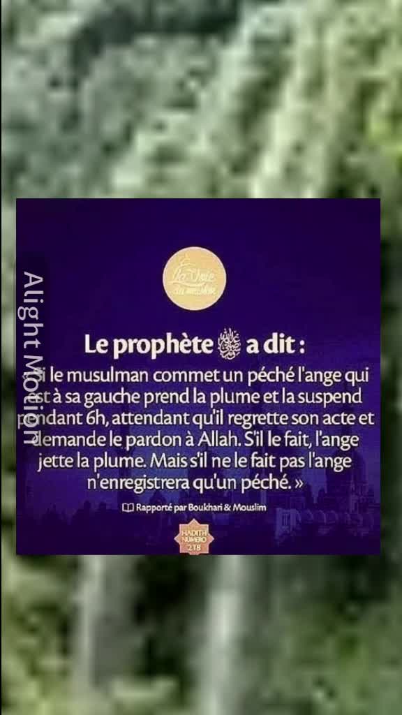 @🕋 Amine Islam 🕋