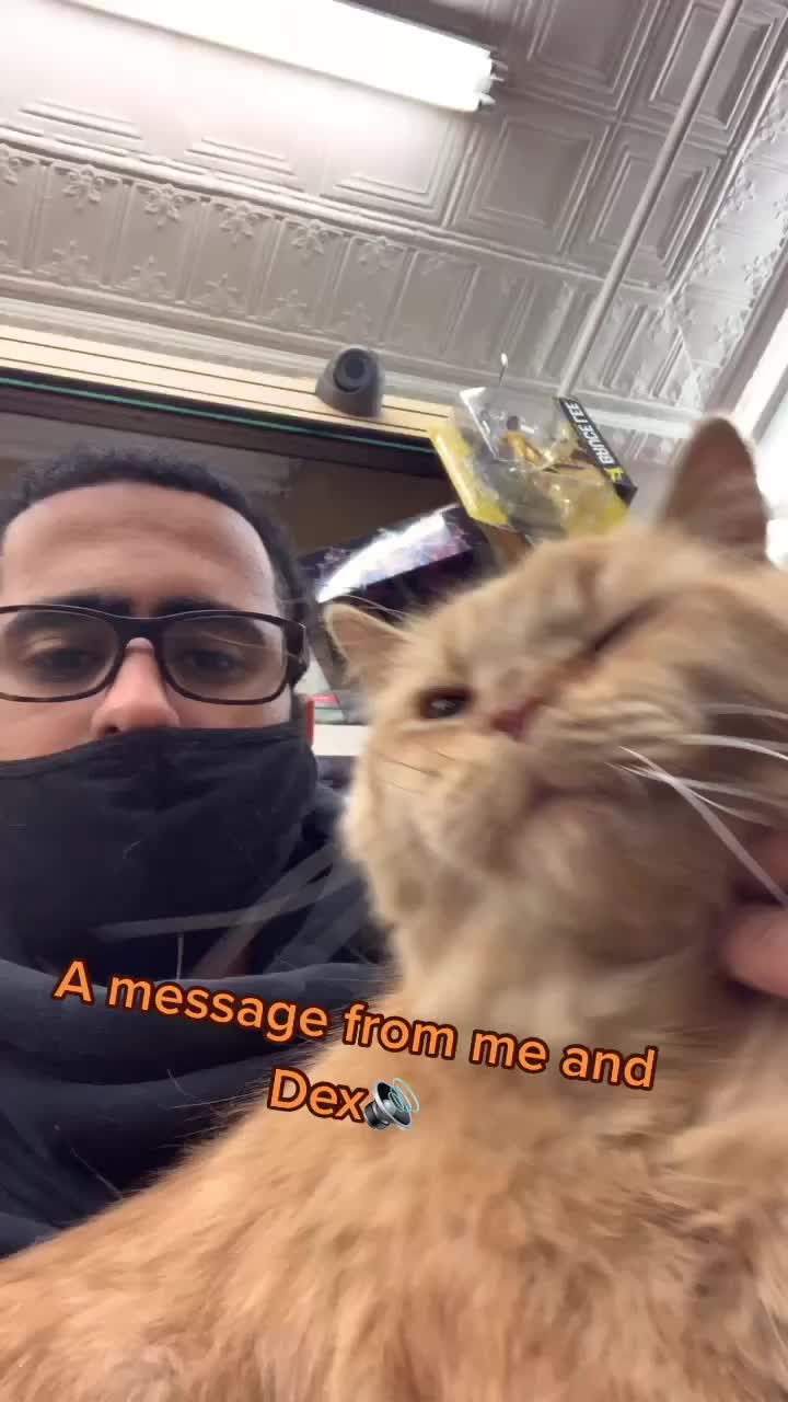 @Ibraheem Esa