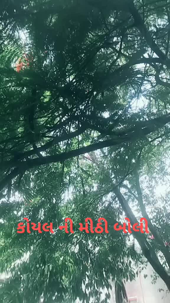 @Dhresh Ratadiya