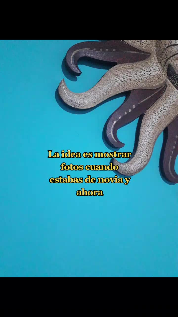 @Sof&iacute;a Campos