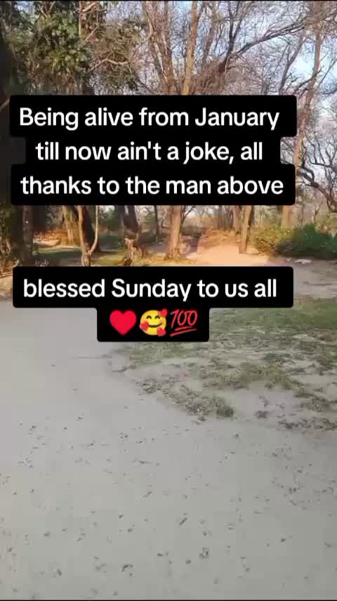 @Slow_soldier