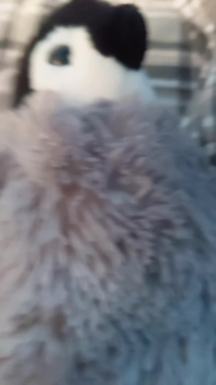 @ThePenguinRob