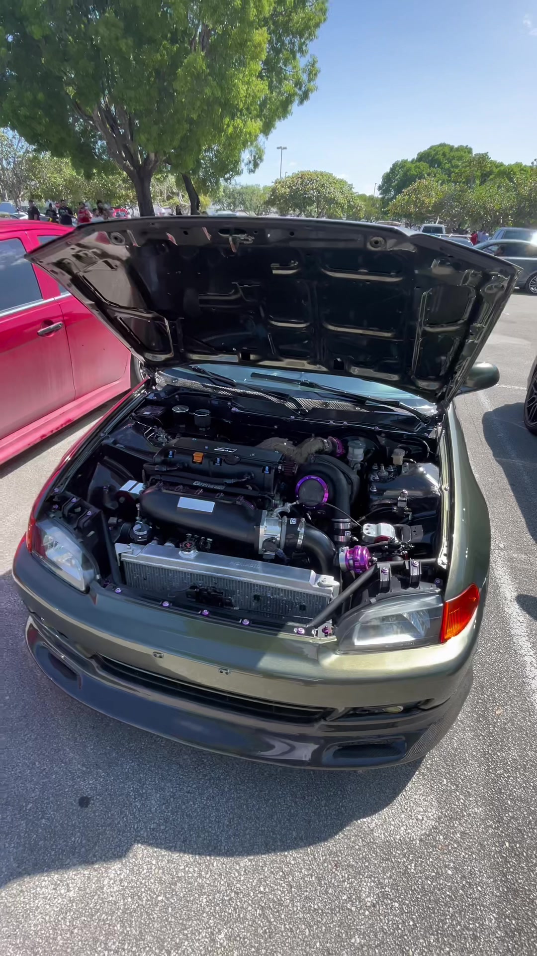 @marantawx