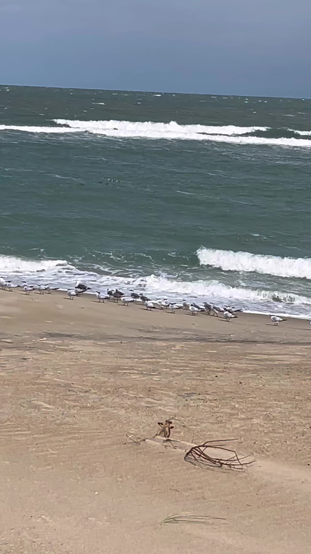 @BeachWavesTX