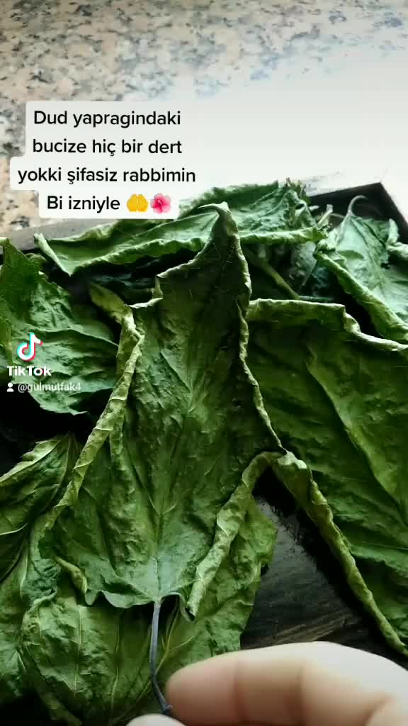 @Yararlı Bilgiler