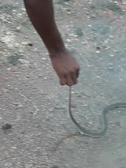 @vemula akash..!