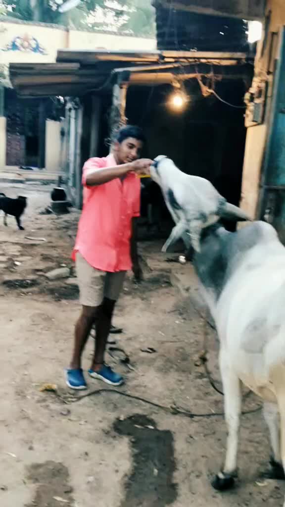 @vasanth raj 1228