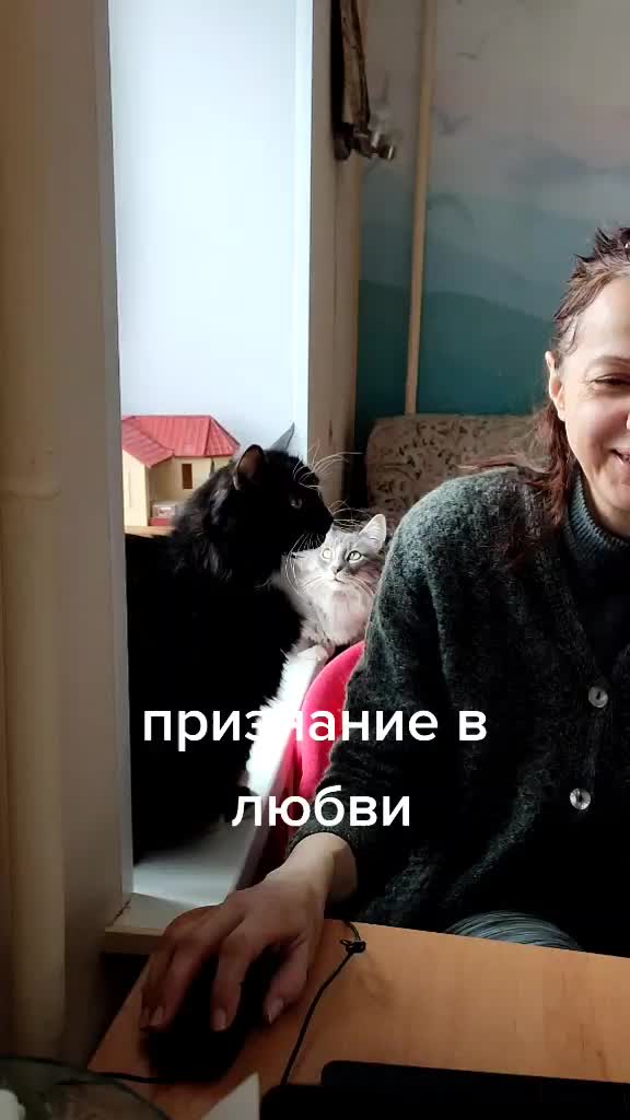 @user210029 фëдор