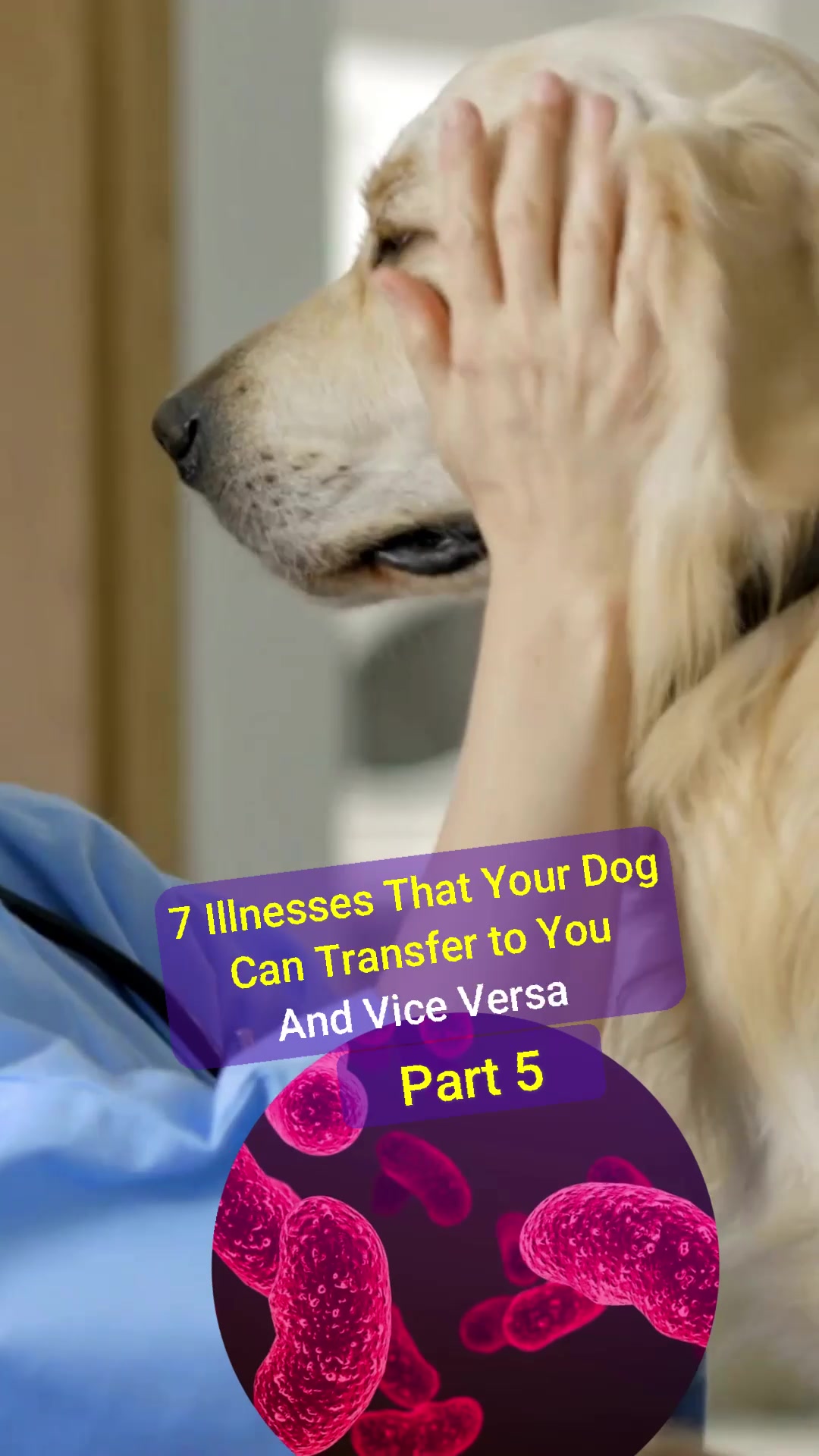 @Anna Isakova - Dog Behaviorist