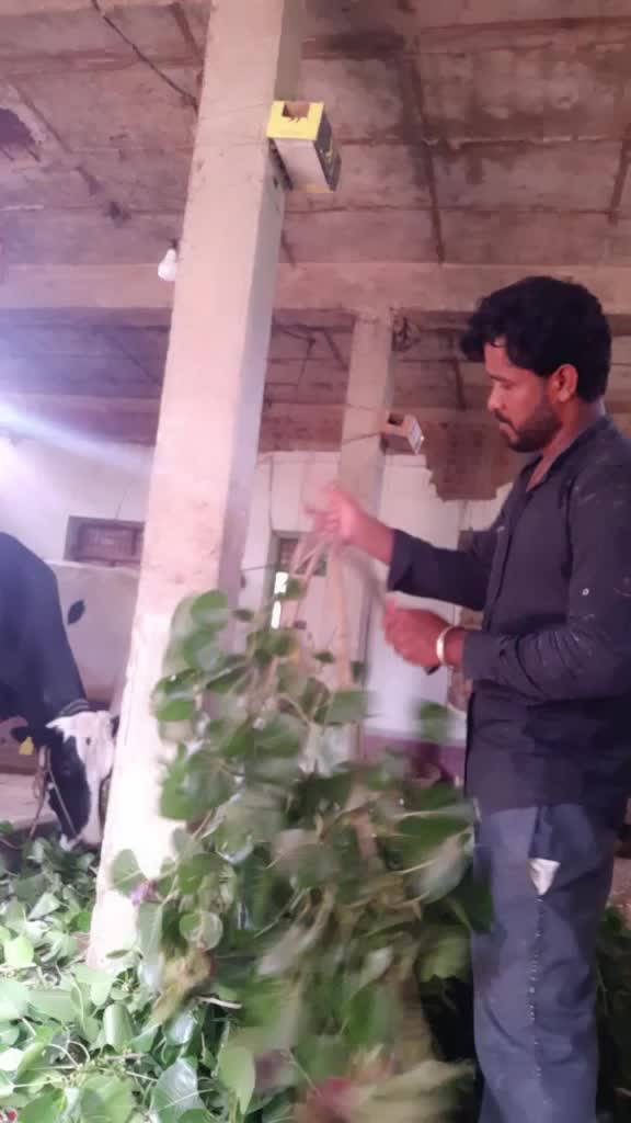 @ವಿಶ್ವ ವಿಷ್ಣು