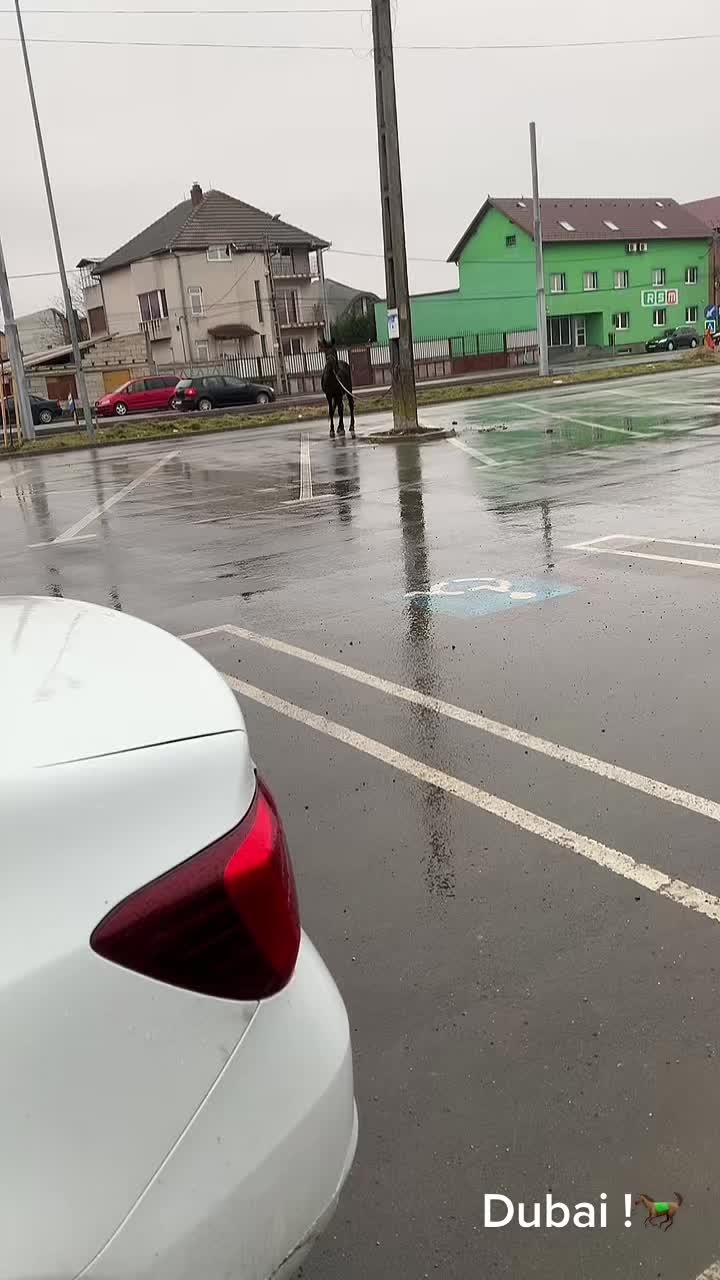 @Covaci Ovidiu